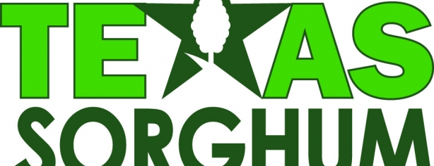 Green Logo OneLeaf 1