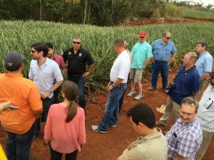 Seminar attendees discuss farming practices with the owner of a pineapple plantation outside Panama City, Panama. 